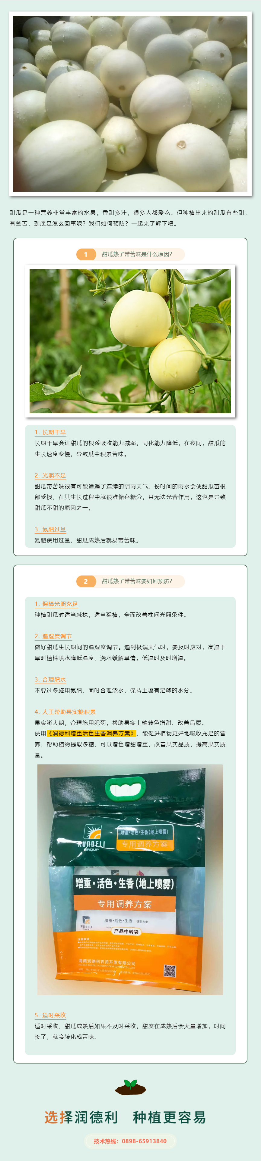 甜瓜熟了带苦味是什么原因？如何预防？.png