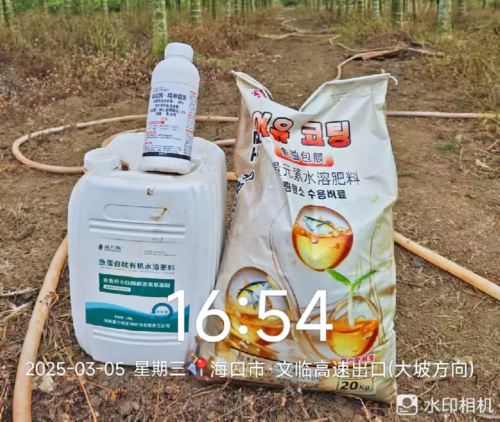 双肥出击！鱼蛋白 + 鱼油包膜为海南作物赋能